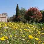 Maison de vacances L\'Hôte Champêtre campagne arlésienne