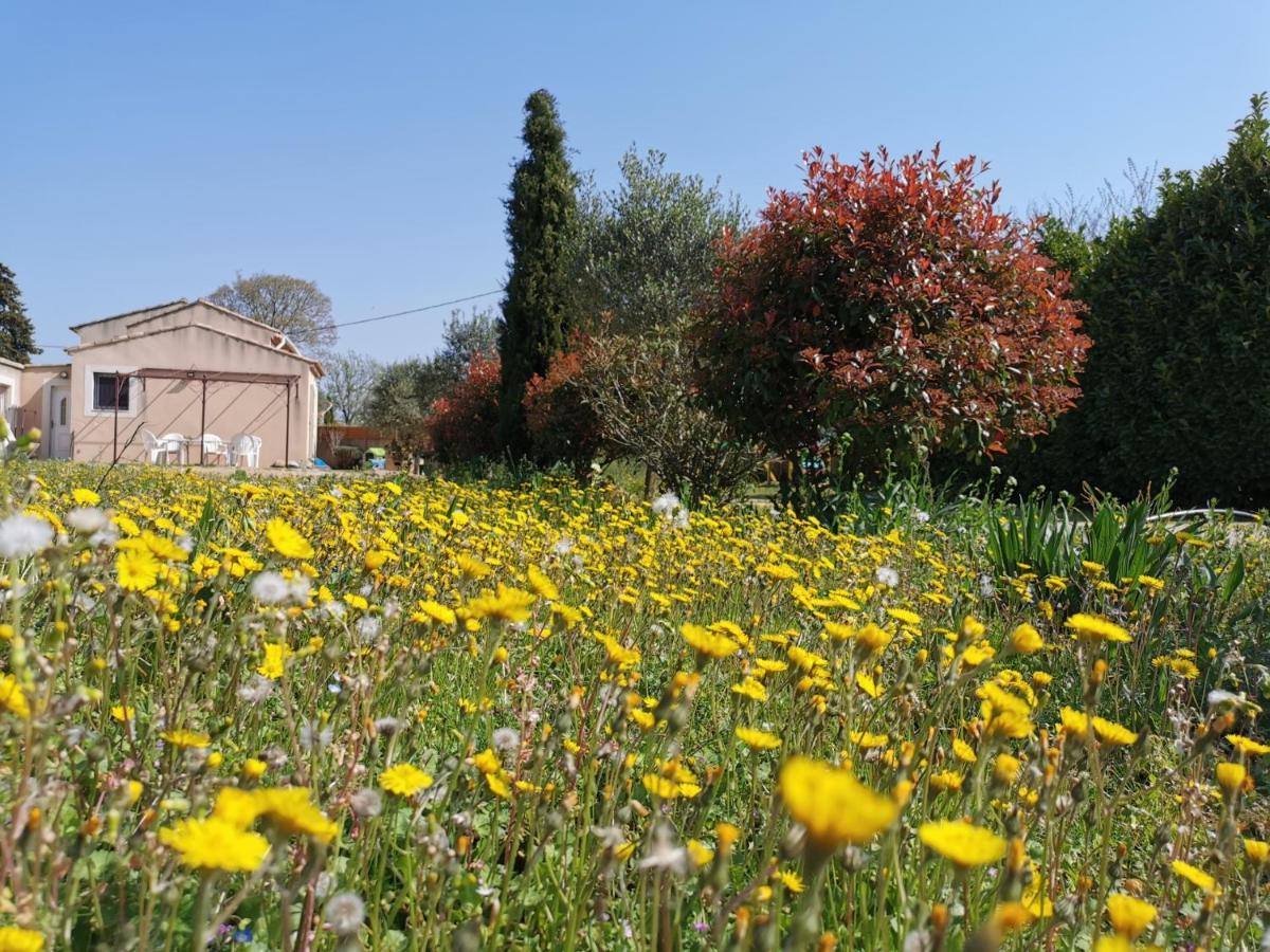 Maison De L'hôte Champêtre Campagne Arlésienne * Arles